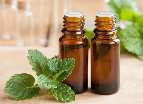تصویر 2 از خرید و قیمت عرق نعناع سنتی درجه ۱ + فروش عمده